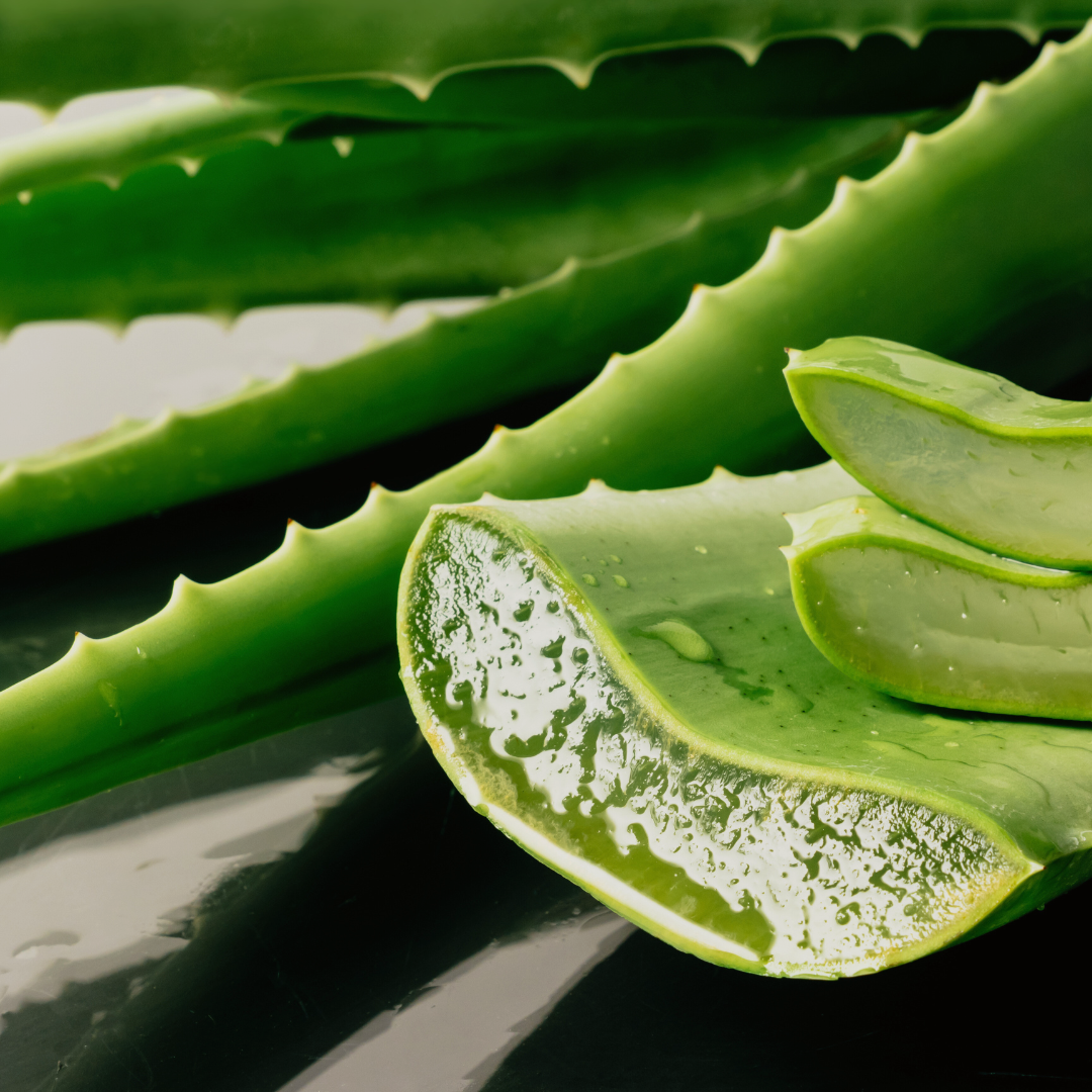 Aloe & Neem Oil Soap
