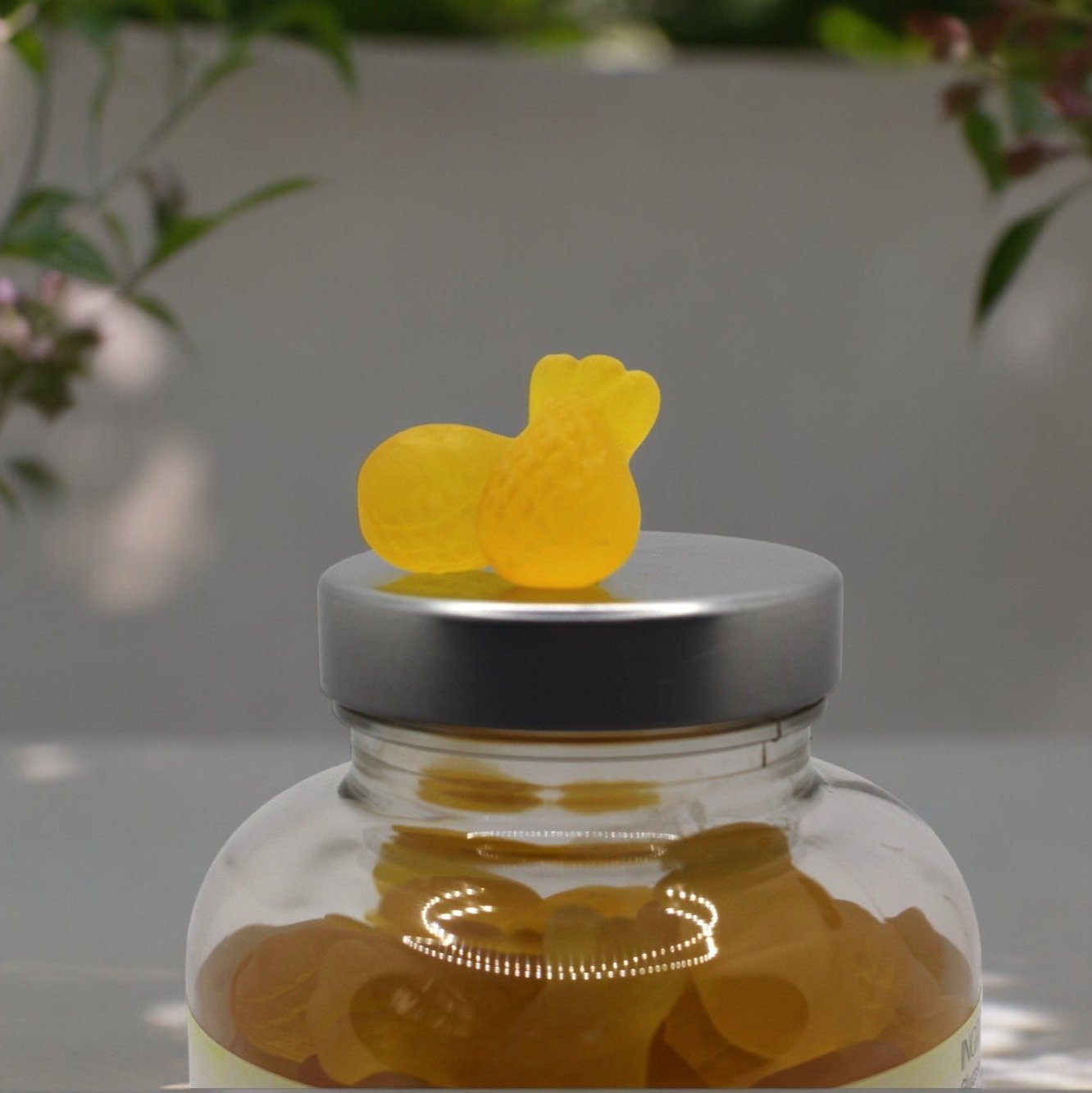 Family Probiotic Vitamin Gummies 150 Pineapple flavour