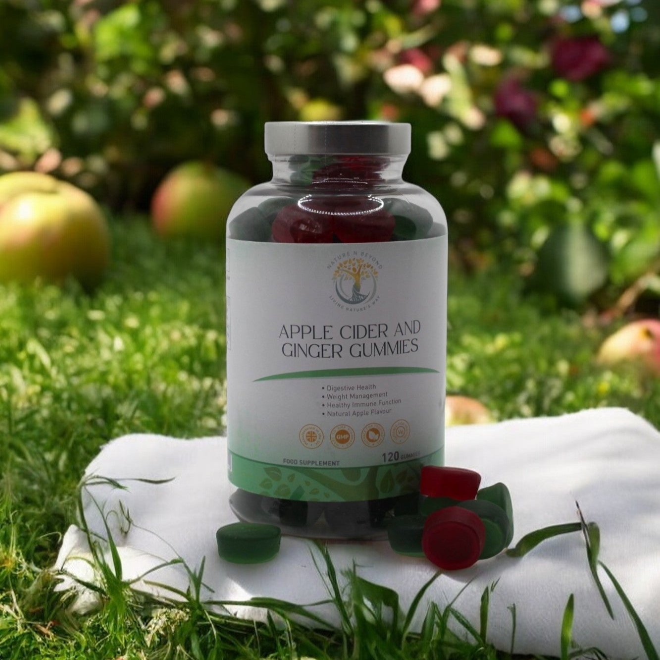 Weight Wellness Bundle